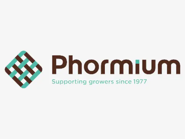 PHORMİUM